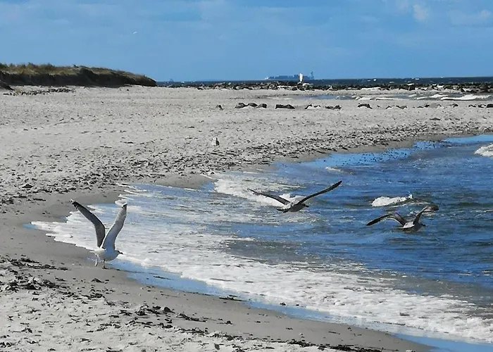 Black Pearl * Schönberg in Holstein